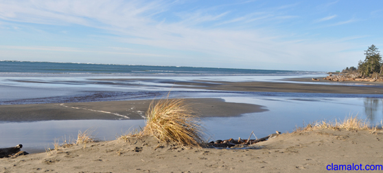 Willapa
